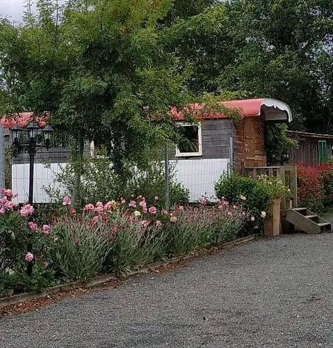 Courfleurie Reception